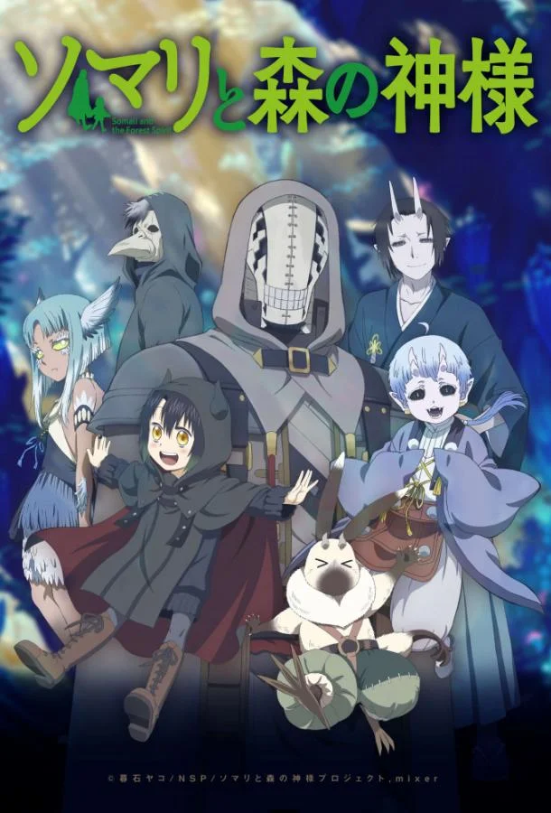 Сомали и лесной дух (1 сезон 1-10,11,12 серия) смотреть онлайн